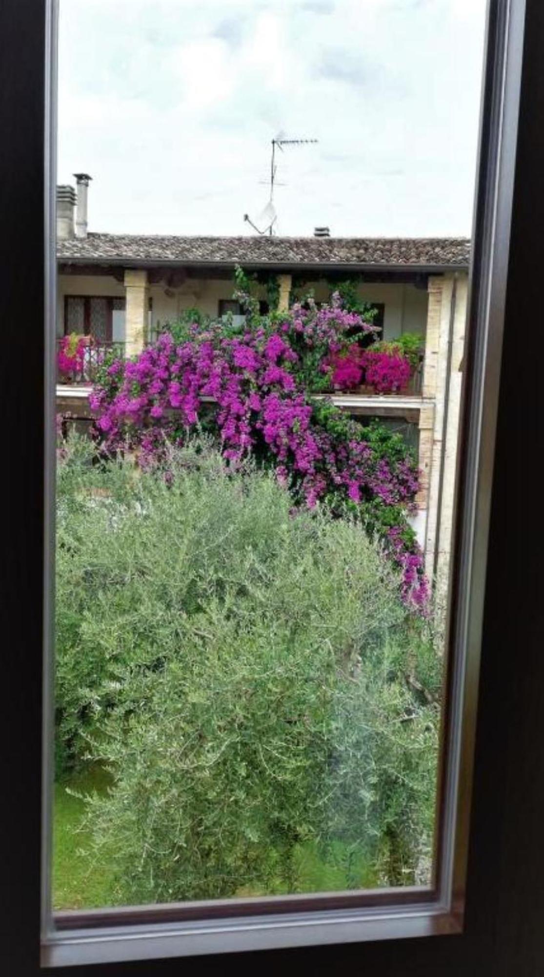 Dolce Lago B&B Сан-Феличе-дель-Бенако Экстерьер фото